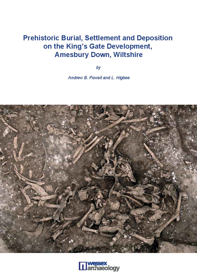 Prehistoric Burial, Settlement and Deposition on the King's Gate Development, Amesbury Down, Wiltshire book cover